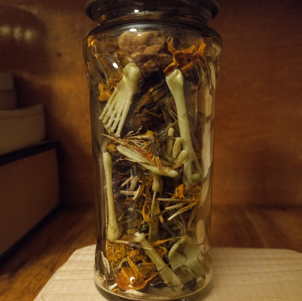 Skeletal specimen jars, set of 3, handmade - Picture 15 of 16